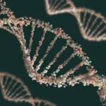 Decoding the Circular Code: How EccDNA Could Revolutionize Post-Surgical Prognosis for Lung Cancer Patients
