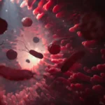 Decoding the Gut: New Research Unveils How Plant-Based Diets Reshape Human Health