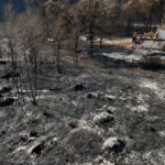 Europe’s Climate Breaking Point: A Continent Engulfed in Unprecedented Wildfires