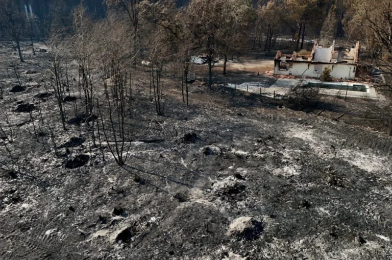 Europe’s Climate Breaking Point: A Continent Engulfed in Unprecedented Wildfires