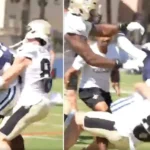 Genetic Supremacy on the Gridiron: Brock Rechsteiner Channels Steiner DNA with Brutal Display
