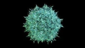 High-Stakes Bet: PTC Therapeutics Secures Sangamo’s Gene Therapy Asset in Bankruptcy Auction