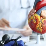 Inflammation Hypothesis Stumbles: Novo Nordisk’s Ziltivekimab Failure Sends Shockwaves Through Biotech Sector