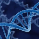 Intellectual Property Landmark: Court Rules Guardant Health Willfully Infringed TwinStrand Genomics Patents