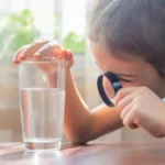 Invisible Invaders: How Nanoplastics are Bolstering Bacterial Defenses in Our Water Systems