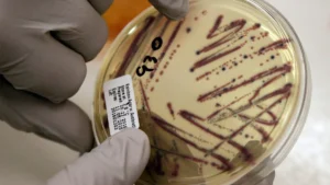 Multi-State Food Poisoning Outbreak Linked to Alfalfa Sprouts: A Growing Public Health Crisis