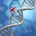 Precision Engineering at the Molecular Scale: How Silver Nanoparticles are Revolutionizing DNA Assembly
