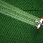Prenatal Pesticide Exposure and Autism: New Data Challenges Long-Held Assumptions