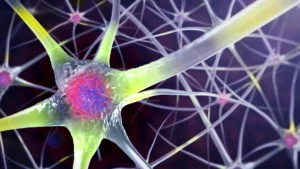 Protecting the Mind: Midlife Vascular Health as the Key to Decades of Cognitive Vitality