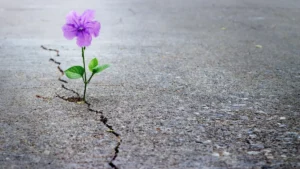 Redefining Resilience: How Peer-Led Support Groups Are Transforming the Chronic Pain Landscape