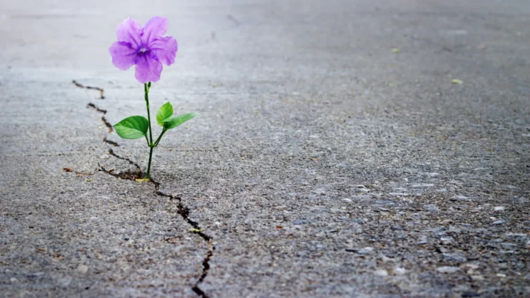 Redefining Resilience: How Peer-Led Support Groups Are Transforming the Chronic Pain Landscape