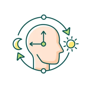 Rewiring the Internal Clock: New Implantable Cell Therapy Offers Hope Against Jet Lag and Shift Work