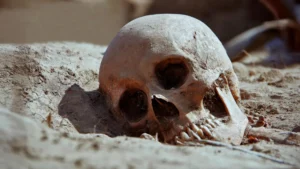Rewriting Medical History: New Evidence Challenges Centuries-Old Assumptions About Syphilis