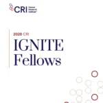 Securing the Future of Cures: The Cancer Research Institute Launches the IGNITE Award to Bridge the Scientist “Valley of Death”