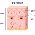 Shielding Your Future: The Vital Intersection of UV Protection and Breakthrough Immunotherapy