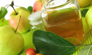 The Alchemy of Wellness: Re-evaluating the Ancient Power of Apple Cider Vinegar and Honey