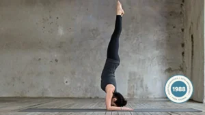 The Art of Equilibrium: Unpacking the Philosophy and Mechanics of Pincha Mayurasana