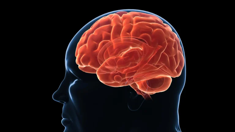 The Biological Battle: Why Modern Science is Redefining the Obesity Paradigm