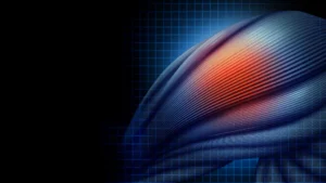 The Biological Trade-off: Why Aging Muscle Sacrifices Performance for Longevity