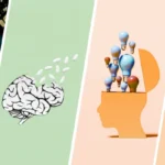 The Changing Landscape of Bipolar Disorder: New Research Links Metabolic Health, Neuroprotection, and Creativity