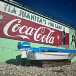 The Coastal Revival: Why These Four "Fish Camp" Chains Are Worth the Detour