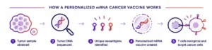 The Dawn of Personalized Oncology: A New Era in Cancer Immunotherapy