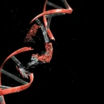 The Double-Edged Sword: How Cancer’s Own Growth Engines Drive Genetic Instability