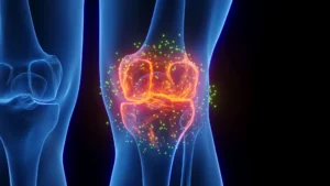 The End of Joint Replacement? Stanford Researchers Discover Method to Regenerate Cartilage