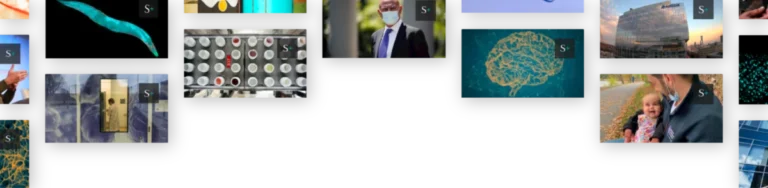 The Erosion of the Safety Net: A Deep Dive into the Crisis Facing Rural American Healthcare
