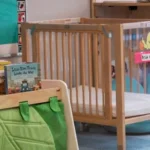 The Future of Early Childhood: Trump Administration Proposes Radical Deregulation of Head Start