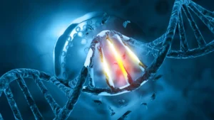 The Genetic Blueprint of Malignancy: New Research Reveals How Inherited DNA Steers Tumor Evolution