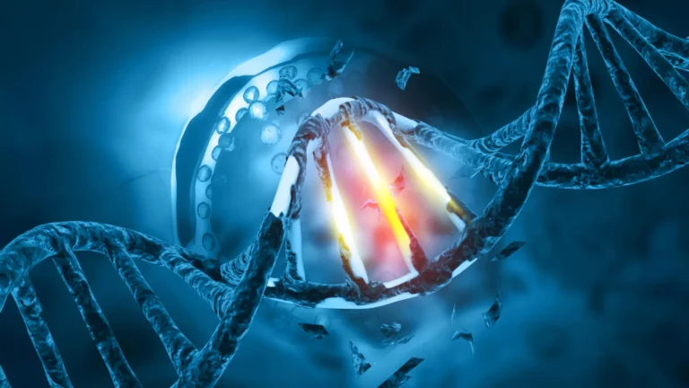 The Genetic Blueprint of Malignancy: New Research Reveals How Inherited DNA Steers Tumor Evolution