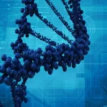 The Genetic Frontier: Exploring the “Unbreakable” Hypothesis in an Age of Environmental Stress