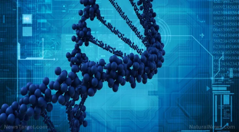 The Genetic Frontier: Exploring the “Unbreakable” Hypothesis in an Age of Environmental Stress