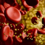 The Genetic Puzzle of Low-Carb Diets: Why Cholesterol Responses Vary Widely