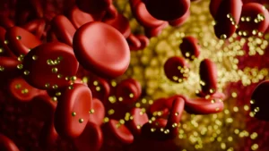 The Genetic Puzzle of Low-Carb Diets: Why Cholesterol Responses Vary Widely