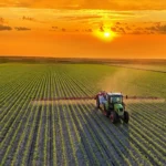 The Great Dietary Pivot: How a Global Shift in Food Systems Could Reshape the Planet by 2050