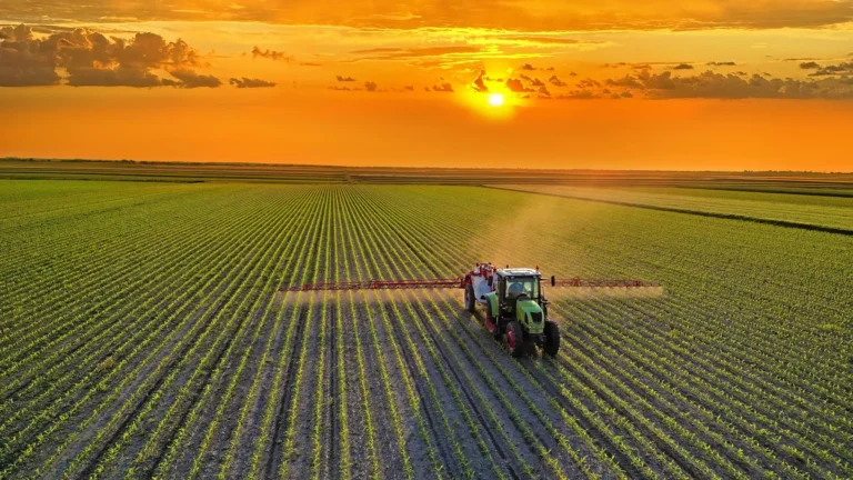 The Great Dietary Pivot: How a Global Shift in Food Systems Could Reshape the Planet by 2050