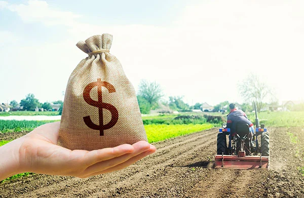 The Great Disconnect: How Development Banks are Fueling Industrial Agriculture at the Expense of Small Farmers