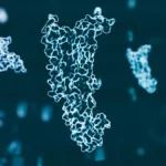 The Great GLP-1 Duel: Novo Nordisk Stumbles as Eli Lilly Maintains Market Momentum