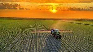 The Great Transition: How a Global Shift in Diet Could Redefine the Future of Farming by 2050