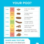 The Hidden Burden of IBS: Understanding, Managing, and Reclaiming Quality of Life