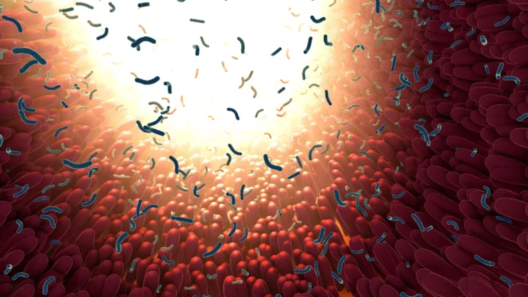 The Hidden Synergy: New Study Reveals How Sweeteners and Common Drugs May Disrupt the Gut Microbiome