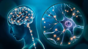 The Hunger Paradox: Yale Discovery Reveals How GLP-1 Drugs Rewrite Brain Chemistry