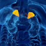 The Invisible Burden: AI Breakthrough Turns Routine Medical Scans into Stress Biomarkers
