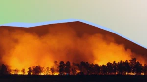 The Invisible Emergency: How Europe’s Wildfire Crisis is Reshaping Public Health