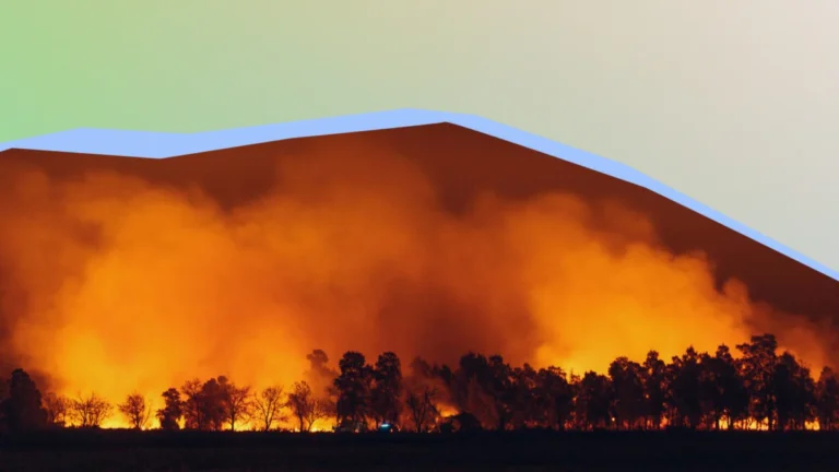 The Invisible Emergency: How Europe’s Wildfire Crisis is Reshaping Public Health