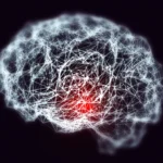The Iron Link: Unlocking the Biological Connection Between Down Syndrome and Early-Onset Alzheimer’s