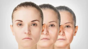The Malleability of Aging: How Calorie Restriction Reveals a Path to Healthier Longevity