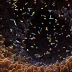 The Microbiome’s Hidden Alchemy: How Gut Bacteria Transform Your Salad into Medicine